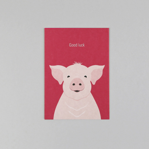 Rosi Schwein // Postkarte