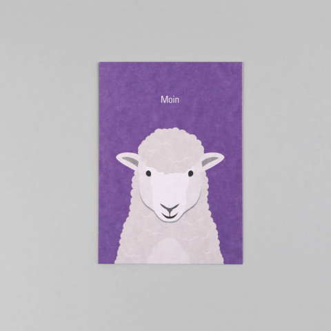 Rosi Schaf // Postkarte
