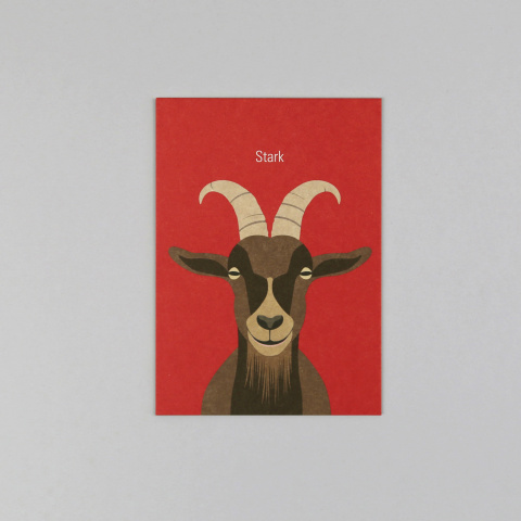 Rosi Geißbock // Postkarte